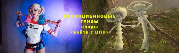 гашиш Ельня