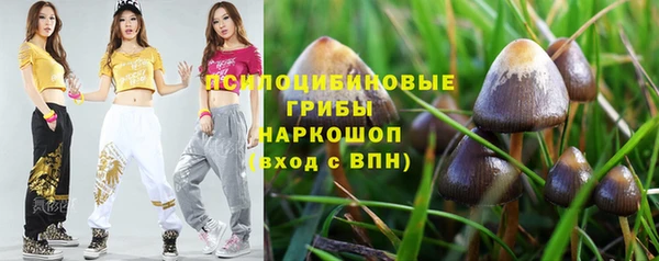 гашиш Ельня