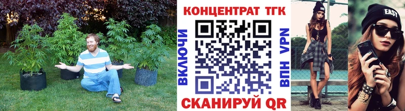 купить наркотики цена  МЕГА вход  ТГК жижа  Сургут 