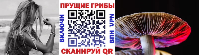 blacksprut зеркало  Сургут  Галлюциногенные грибы GOLDEN TEACHER 